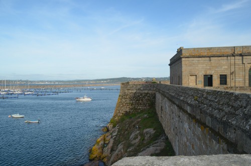 coruna4