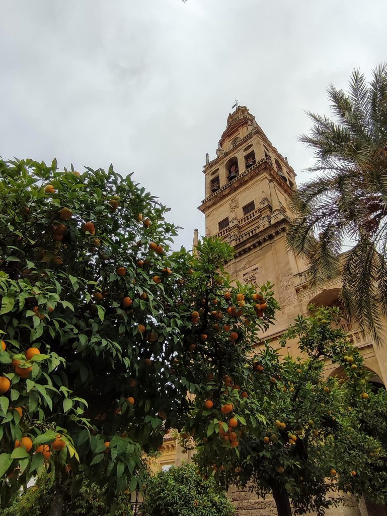 Mezquita de Córdoba