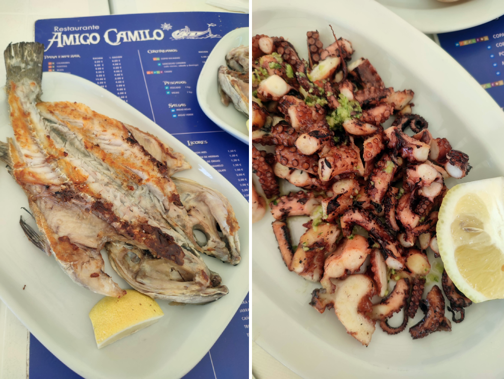 Amigo Camilo Gran Canaria